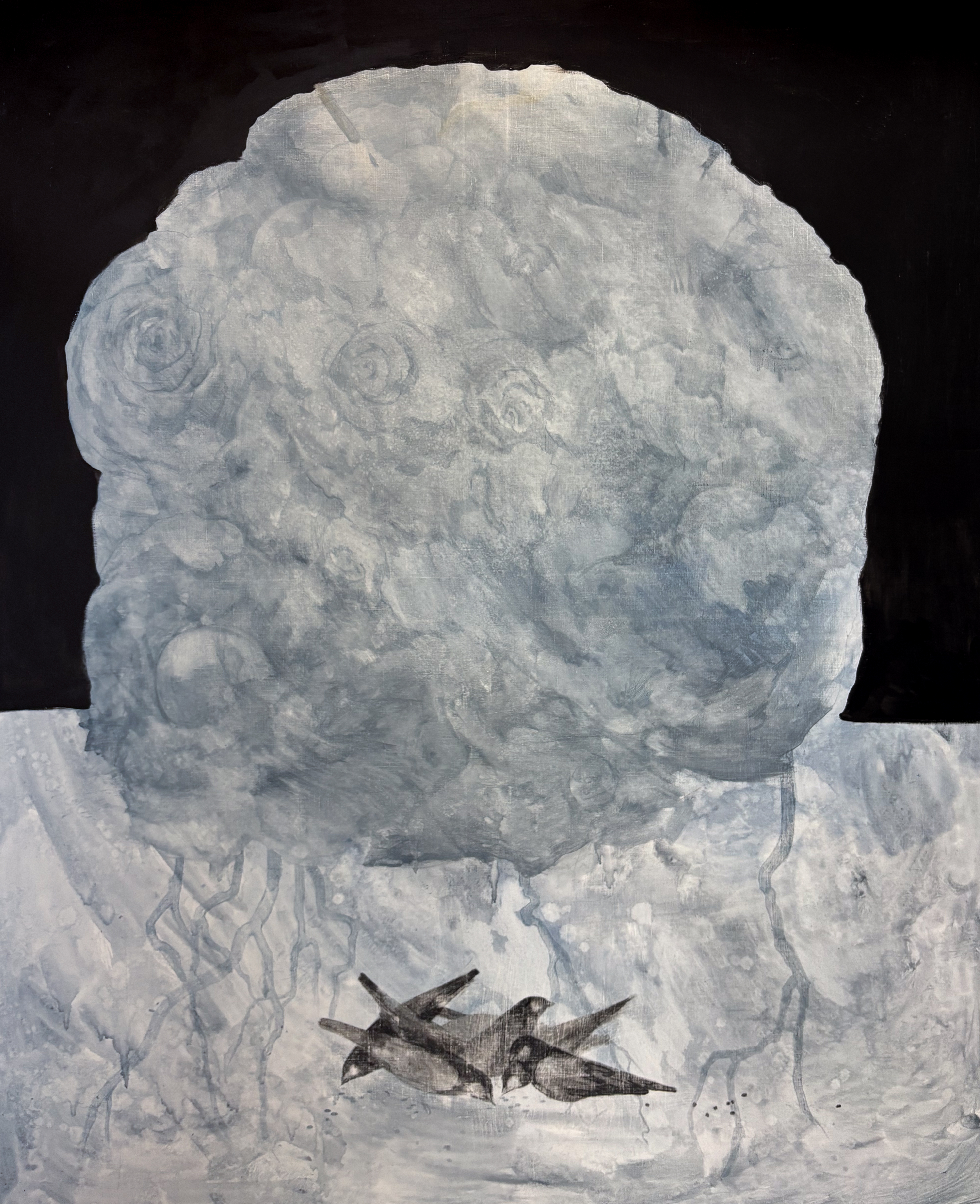 Сад следит за своими птицами 